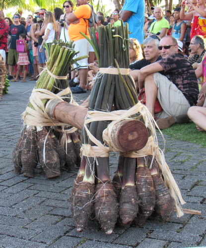 Зрители забега Taro potatoes organised in weight