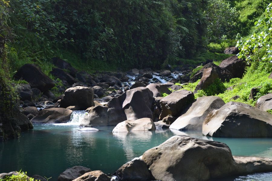 река в одной из долин Таити river in a valley Tahiti