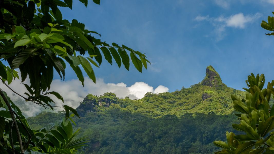 Горный пик, Таити mounteen peak in tahiti