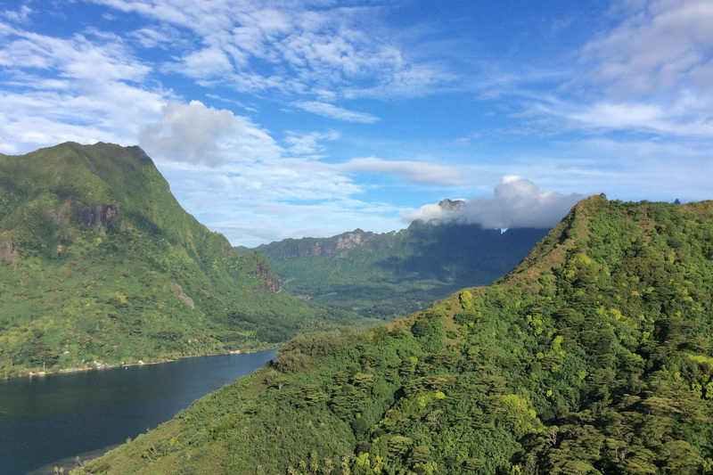 Oponohu baie in Moorea