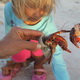 child holding crab