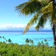 palm tree and beautiful blue lagoon
